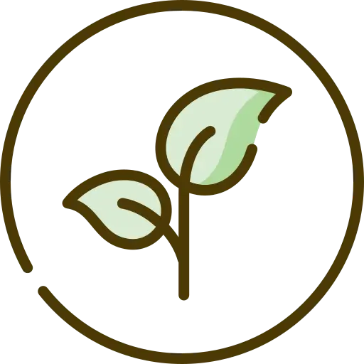 Plant-based icon