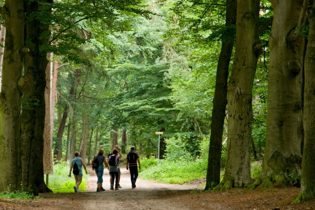 HeartSpeak: Release Stress & Emotional Trauma | GreenTree Chiropractic