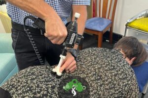 Experience the Benefits of Chiropractic Care | Greentree Chiropractic